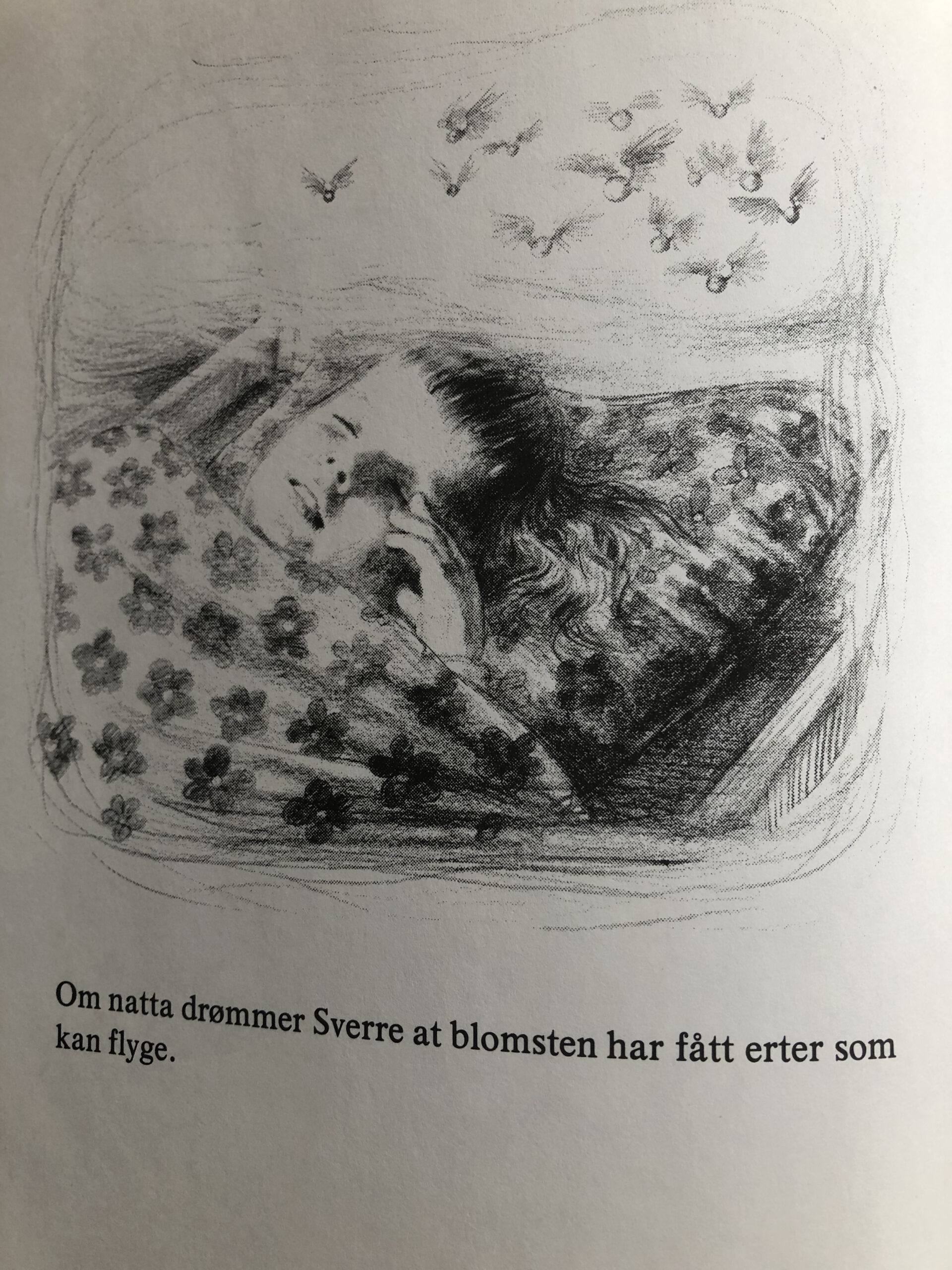 Sverre drøymer om erter som kan flyge, Berre ei lita Ert illustrasjon Bård E Valberg