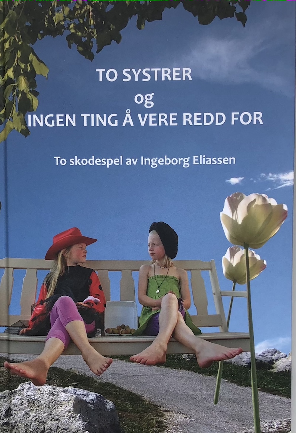 Bokomslag To skodespel design Elin Hassel Iversen