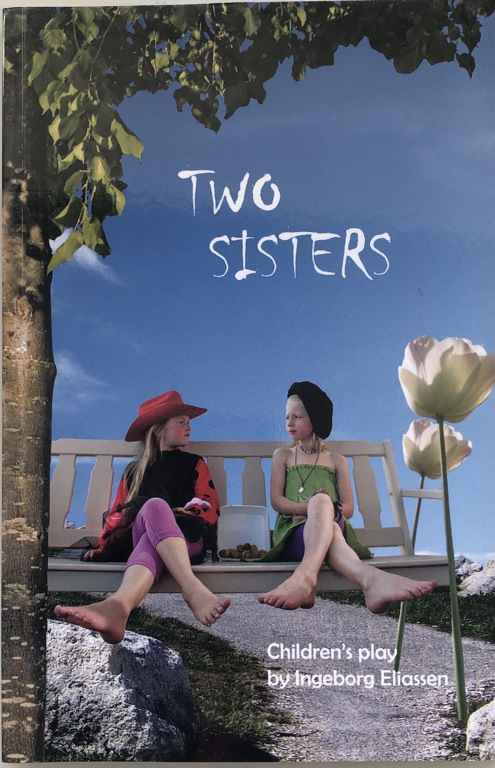 Two Sisters Bokomslag Elin hassel Iversen